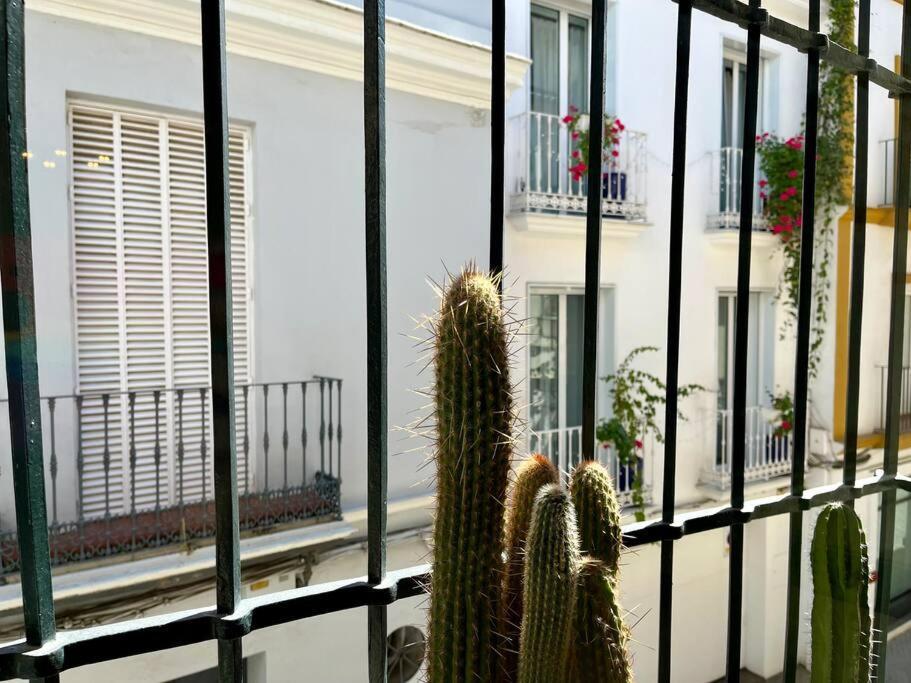 Apartamento Suite Alameda De Hercules — Photos 2